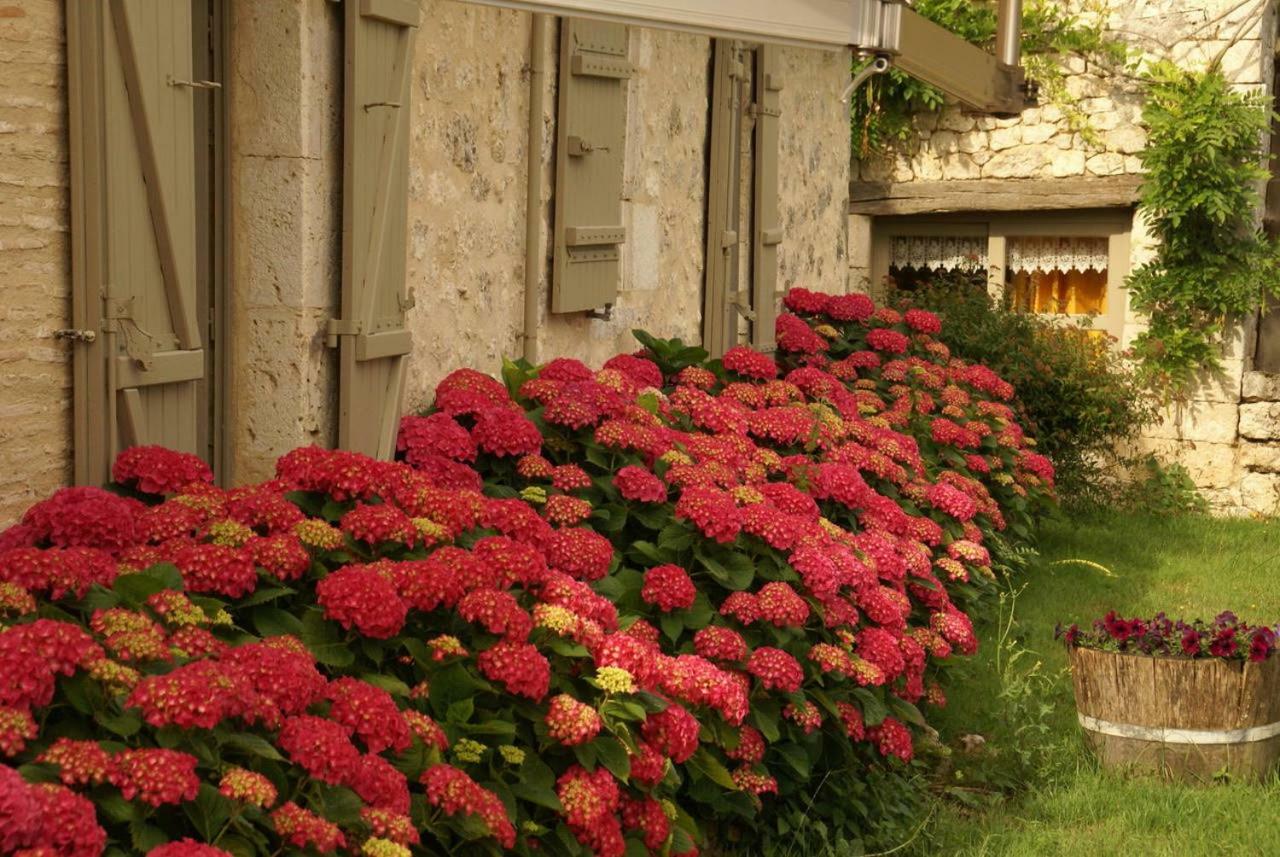 Domaine Du Merlot Sainte-Sabine-Born Exterior photo